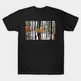 Rising Waters T-Shirt